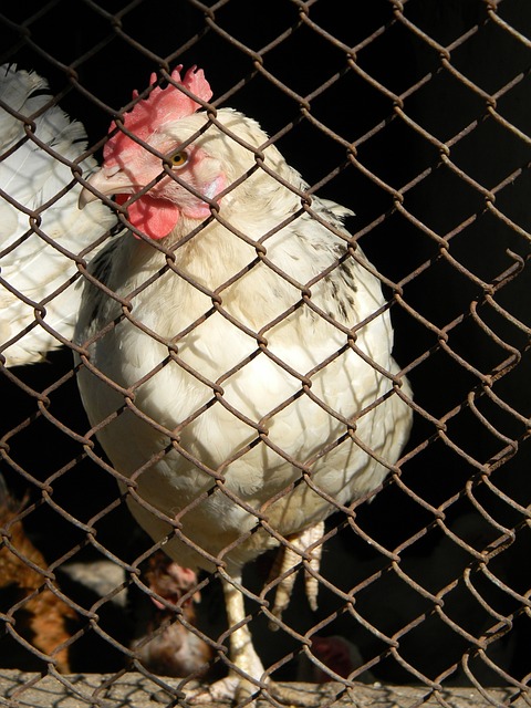 尽管提前开 尽管提前开