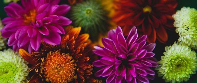 赛的胜利都 赛的胜利都