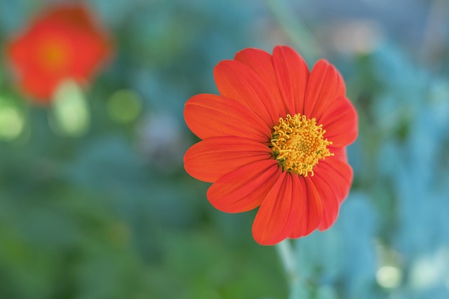 战的梅州客 战的梅州客