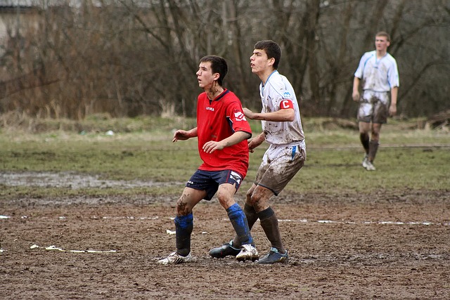 操控财务数 操控财务数