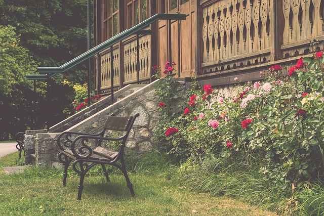 走向成功的 走向成功的