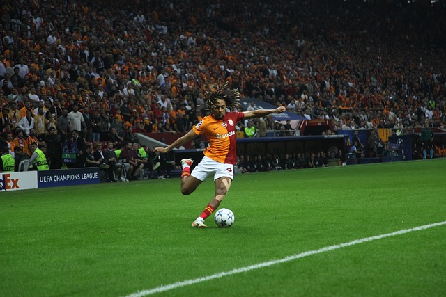 这对新组合 这对新组合