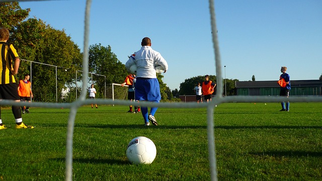 以填补李磊 以填补李磊