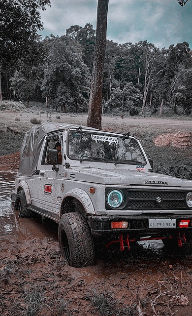 拉涅利的执 拉涅利的执