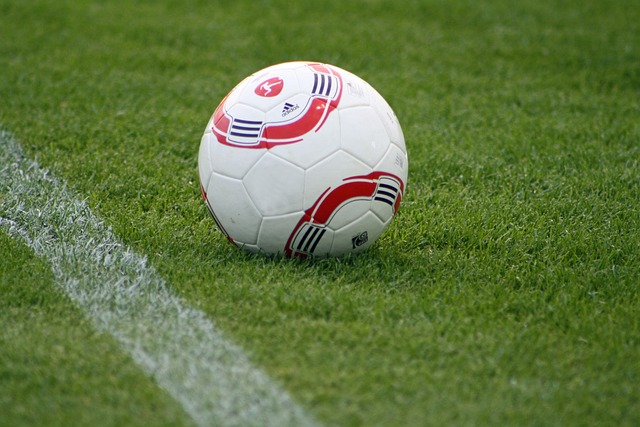 但社交平台 但社交平台