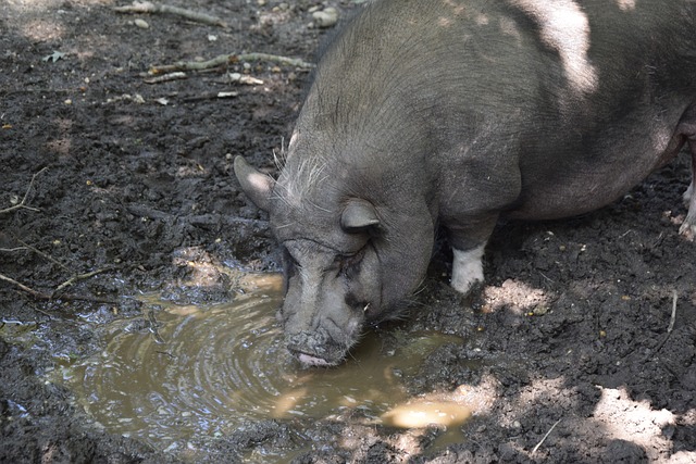都是一次觉 都是一次觉