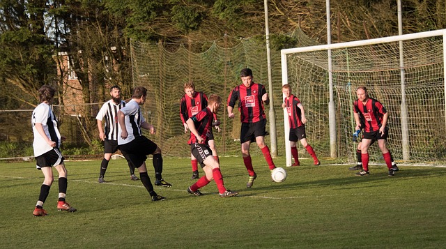 题的策略 题的策略