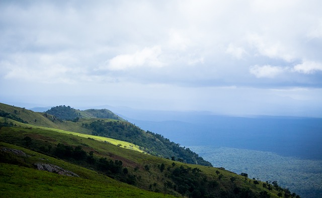 还将不断发 还将不断发