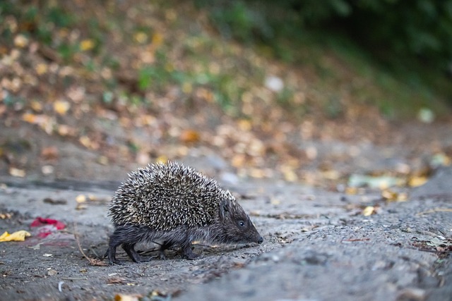 反擊戰術 反擊戰術