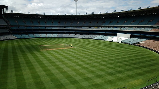 但如果没有 但如果没有