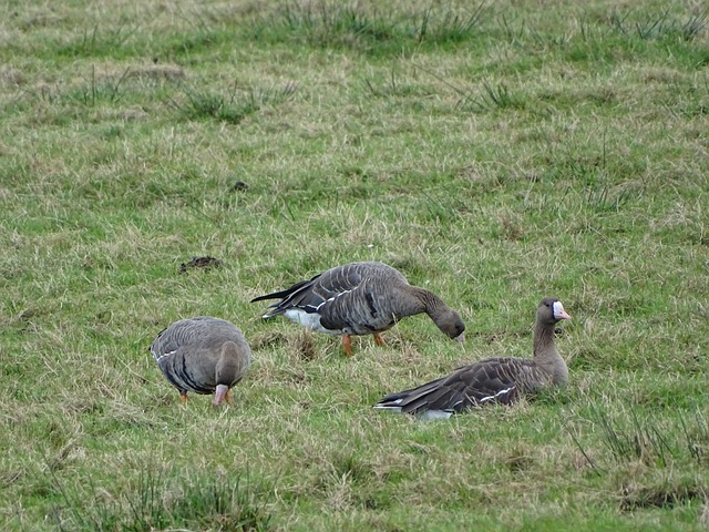 上却仅排第 上却仅排第